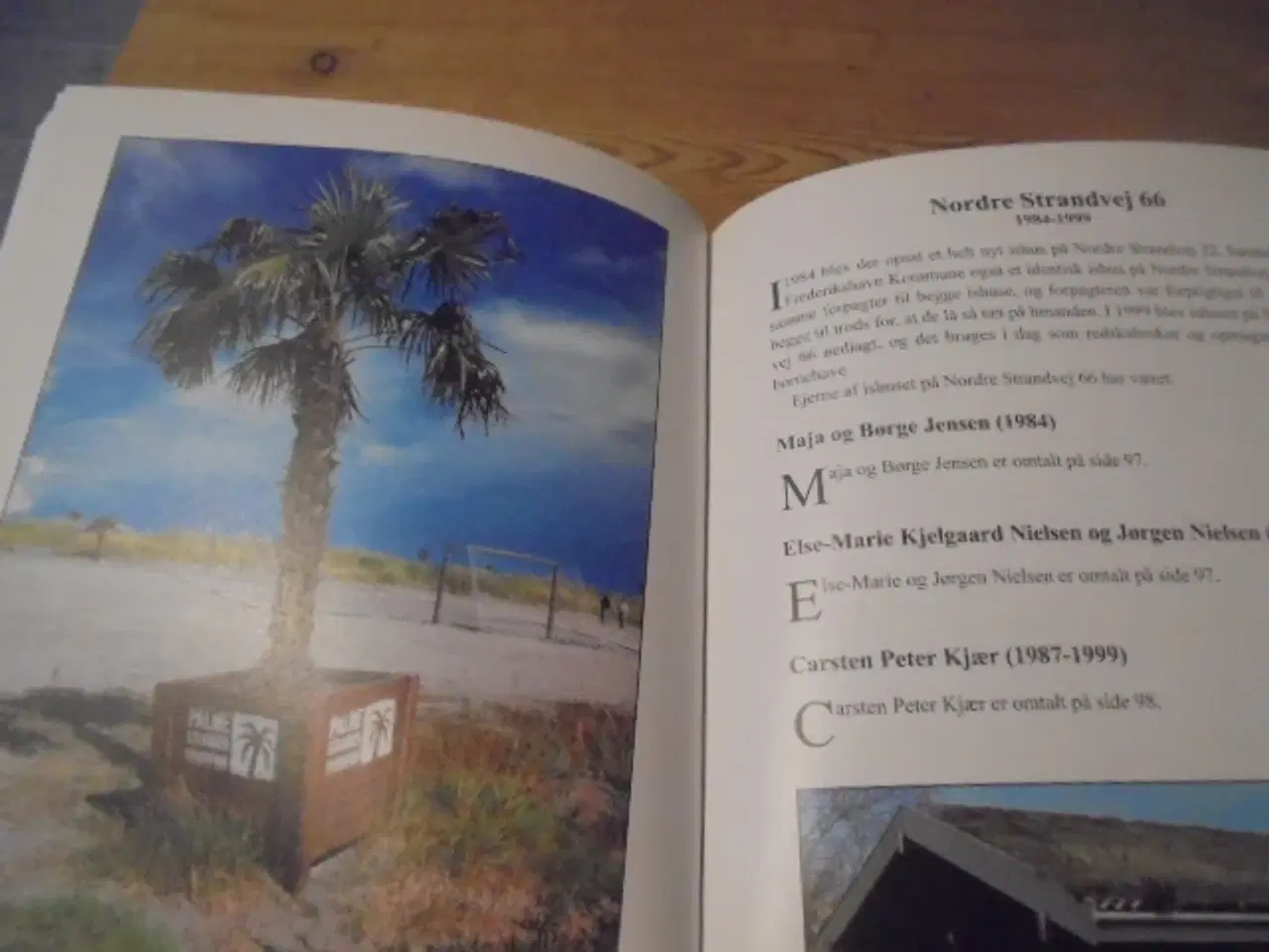 Billede 9 - 2 flødeisfabrikker og 75 ishuse – Frederikshavn fo