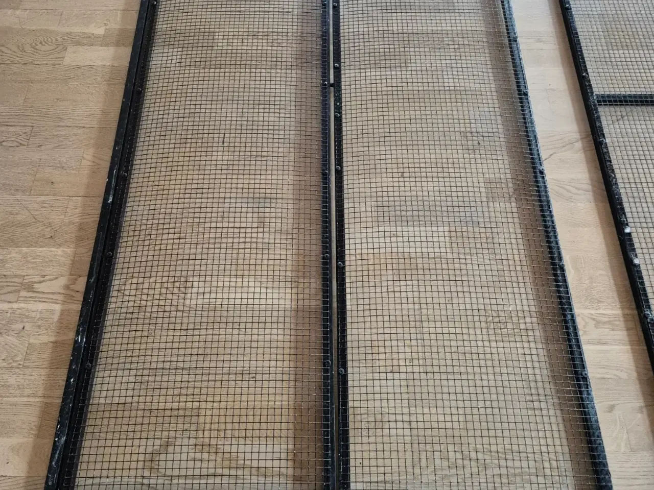 Billede 2 - Randers Voliere