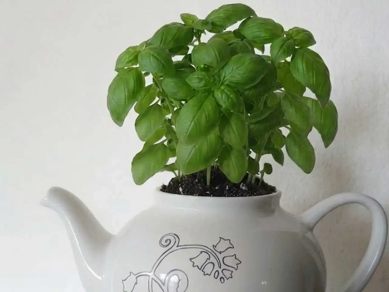 Billede 1 - IKEA tekande – Udgået model | 