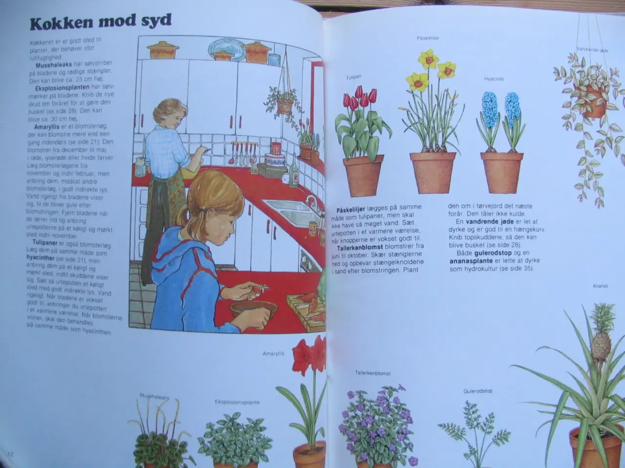 Billede 5 - Sue Tarsky, 3 bøger om planter og blomster
