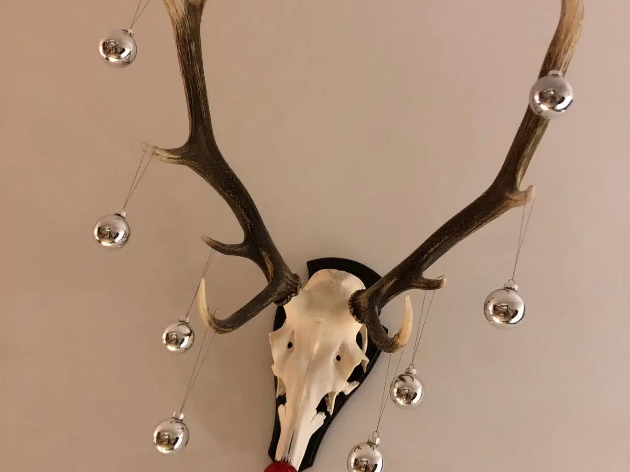 Billede 1 - Flot gevir