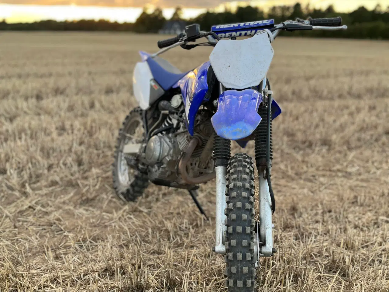 Billede 5 - Yamaha  ttr 125 2008