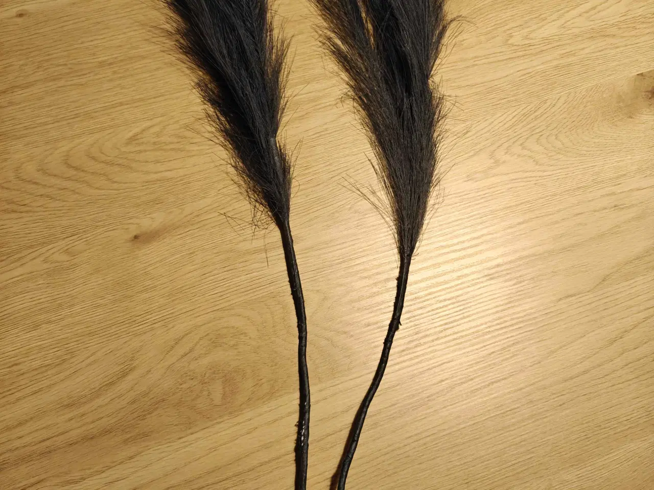 Billede 2 - Grene i fjer 