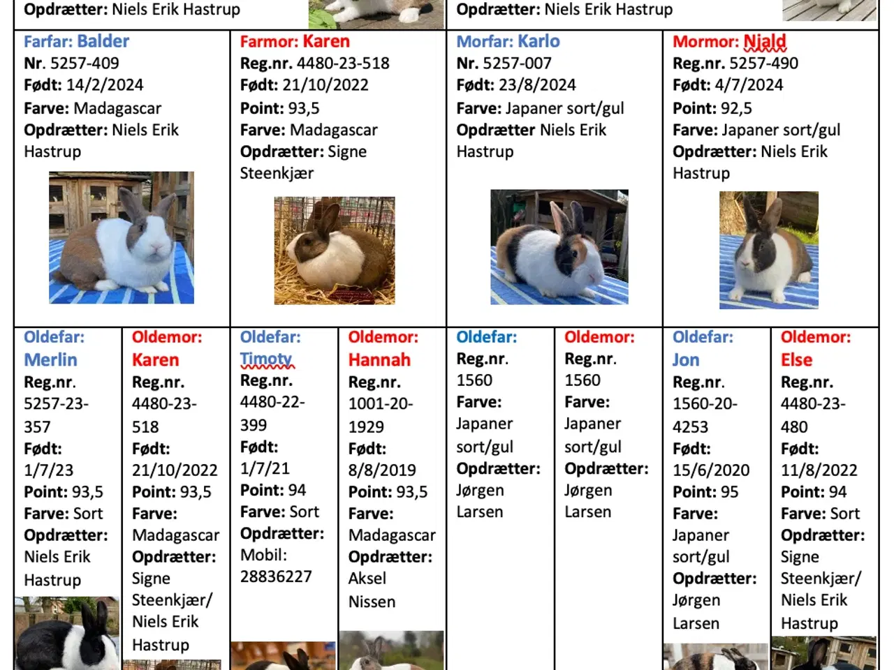 Billede 6 - HOLLÆNDER HAN MADAGASCAR