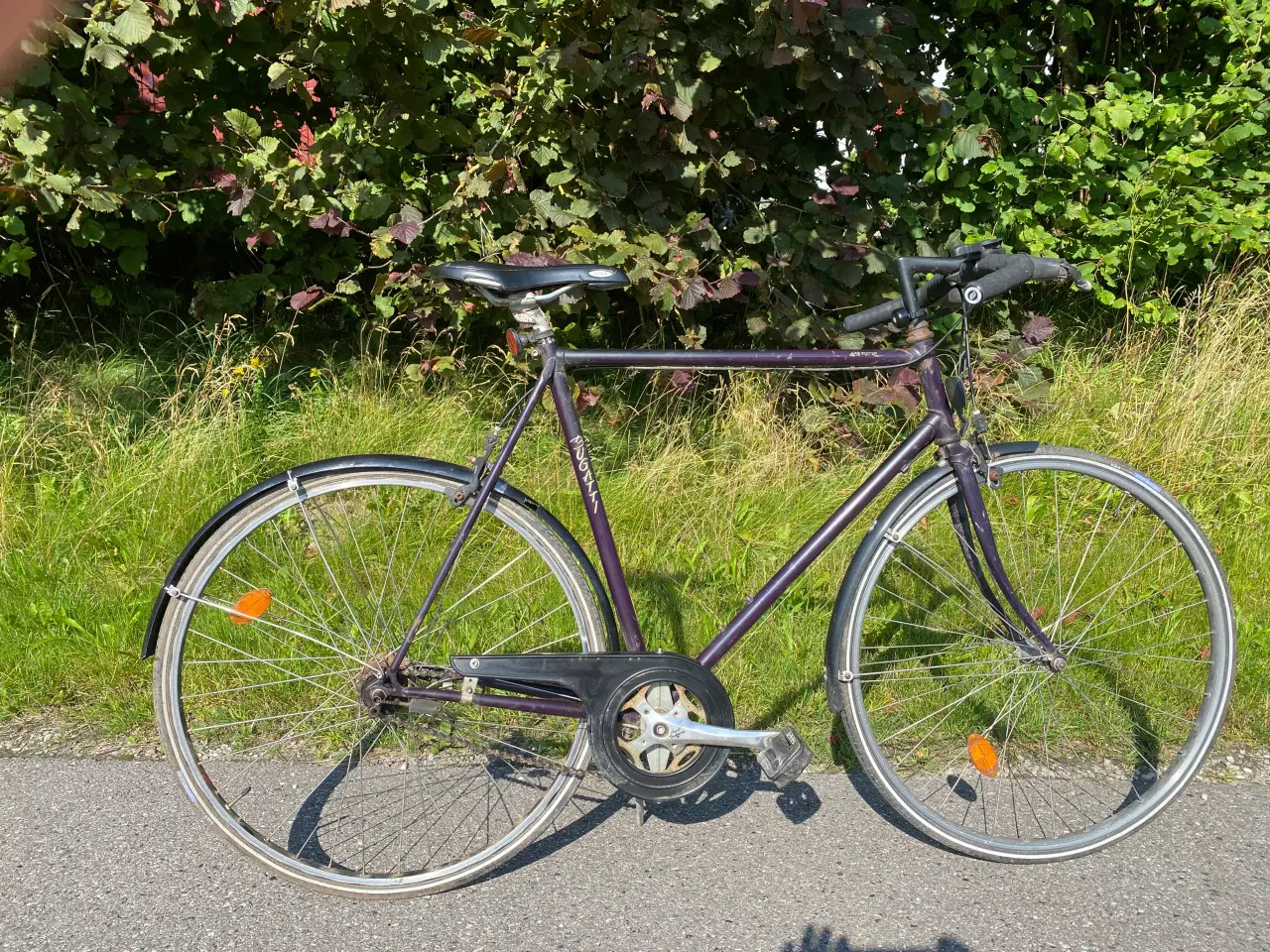 Billede 2 - 5 gears Bugatti herrecykel 