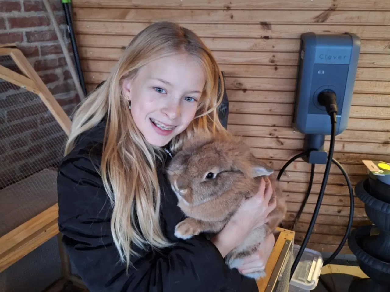 Billede 1 - To børnevenlige kaniner søger nyt kærligt hjem