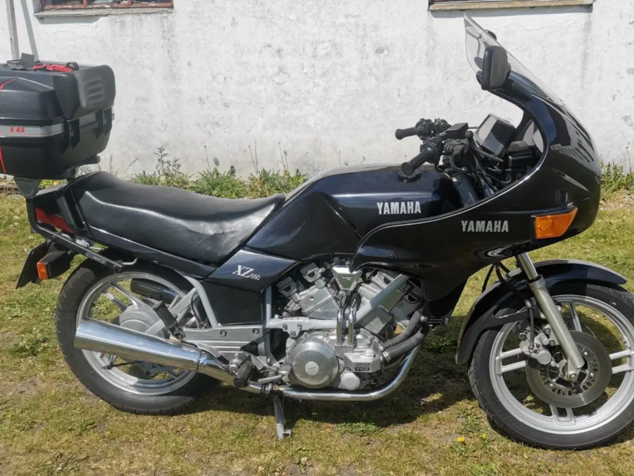 Billede 2 - Søger skovturs hest - bytte med motorcykel