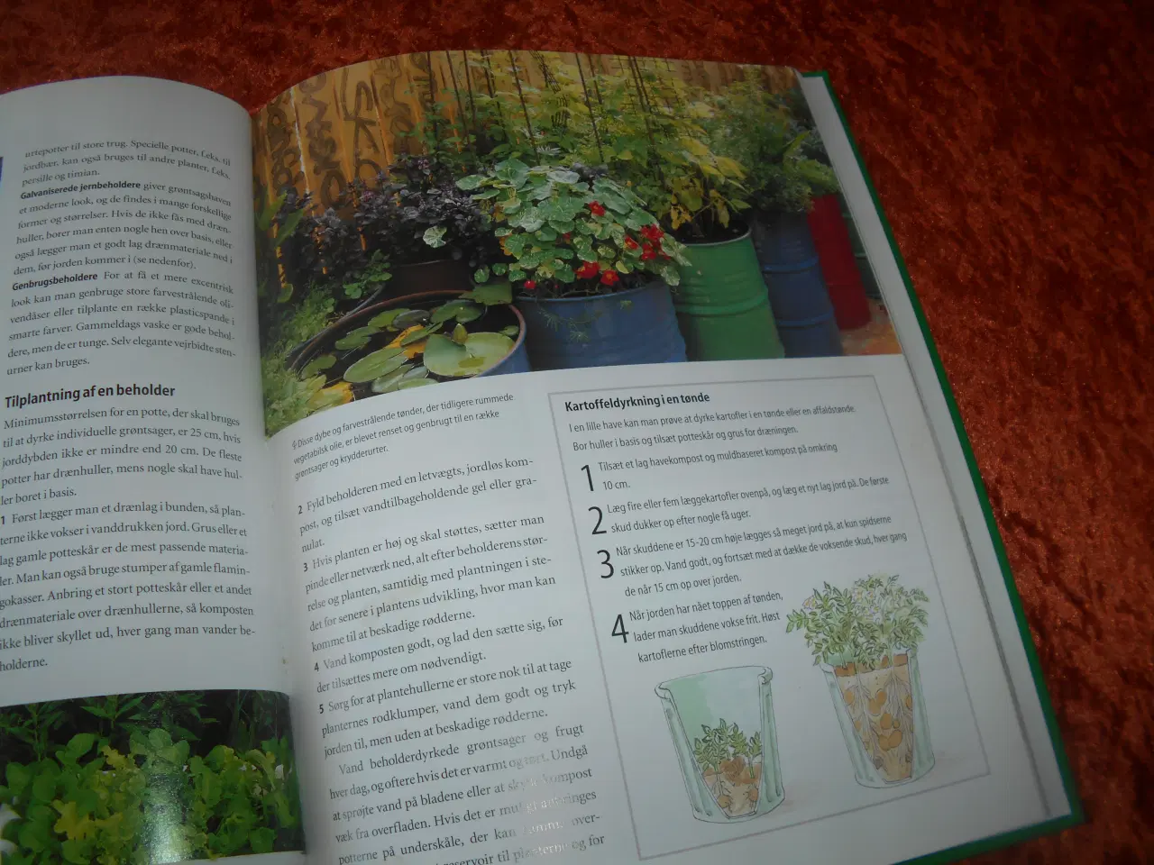 Billede 2 - Den praktiske køkkenhave, Barbara Segall,
