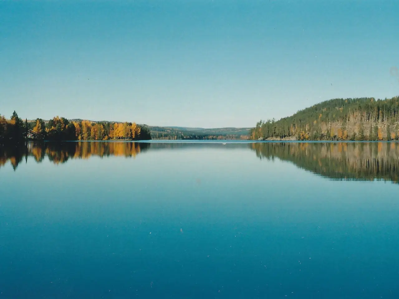 Billede 6 - Ødegård - Sverige Natur Jagt Fiske 