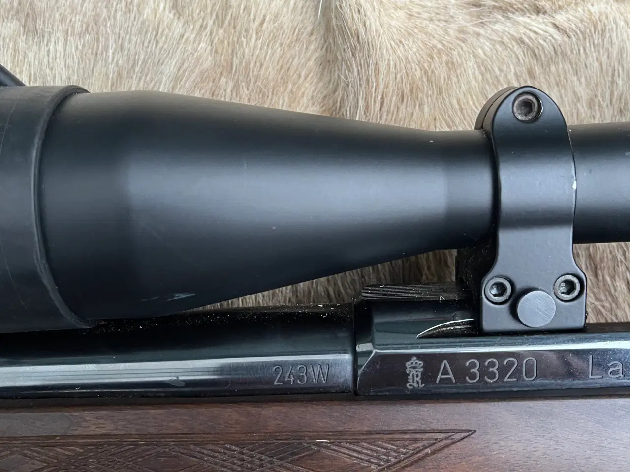 Billede 5 - Lakelander mod 389 243W