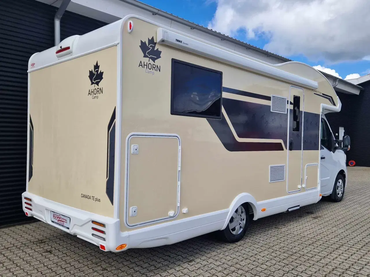 Billede 2 - 2025 - Ahorn Canada TE