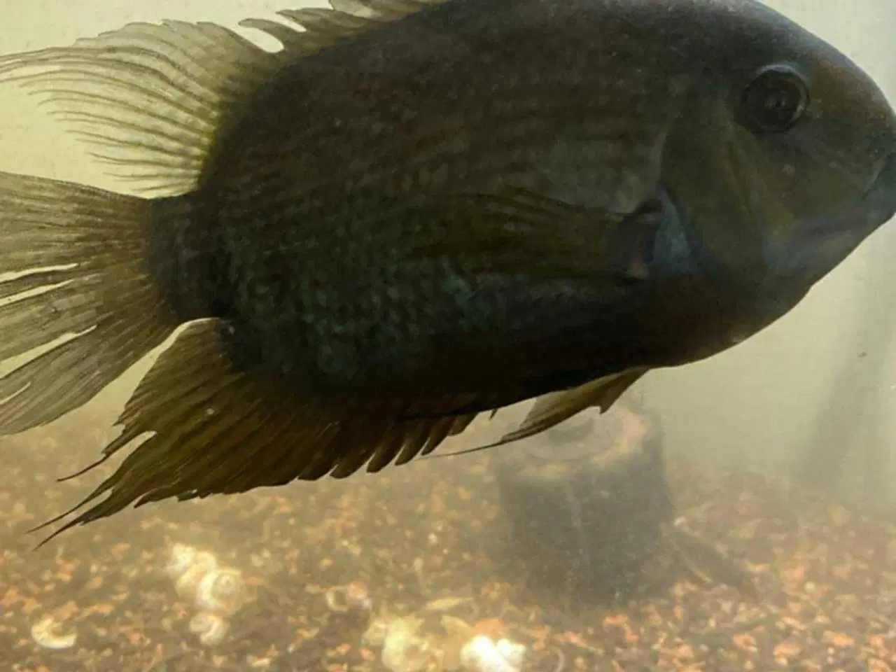 Billede 1 - Serverrum chiklide