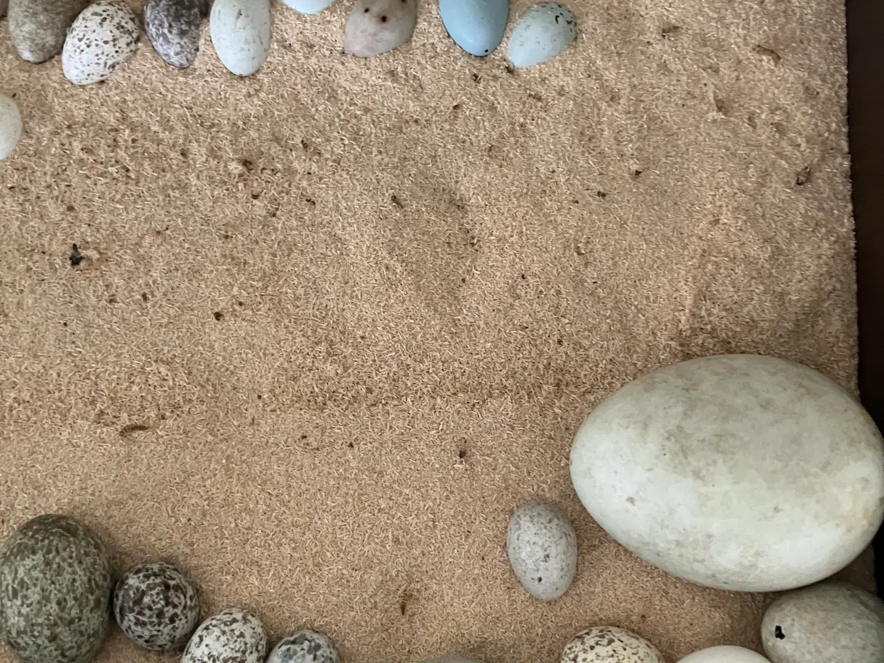 Billede 4 - Dansk samling