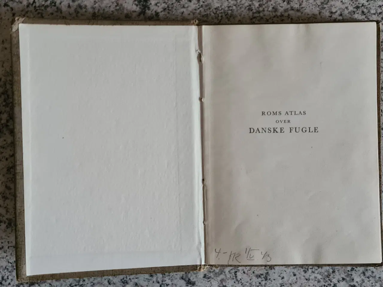 Billede 2 - Fugle Atlas over danske fugle