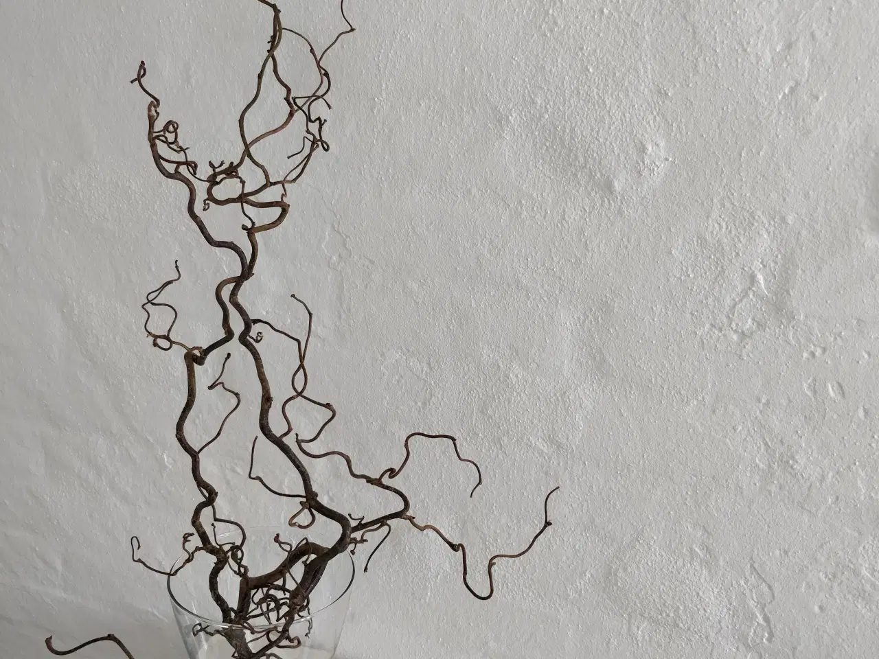 Billede 3 - Troldegrene
