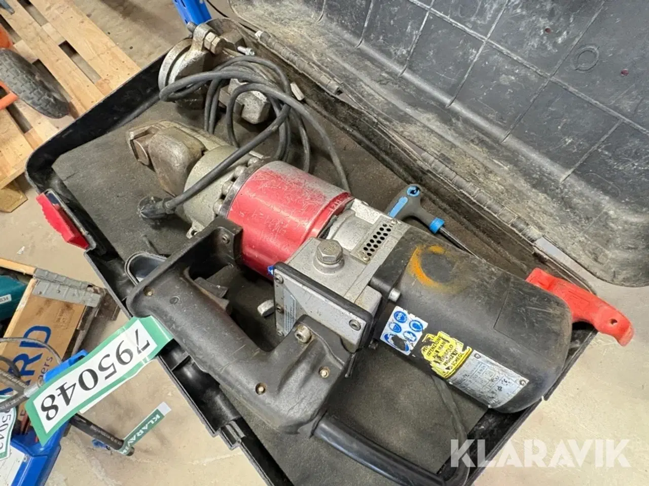 Billede 1 - Jernbukker Edilgrappa