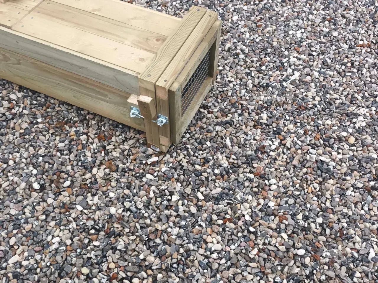 Billede 2 - Mårhund hvalpe fælde