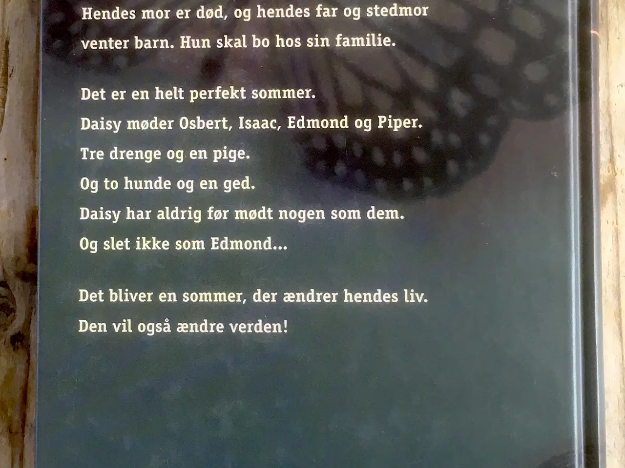 Billede 2 - Sådan er det nu, Meg Rosoff, genre: drama
