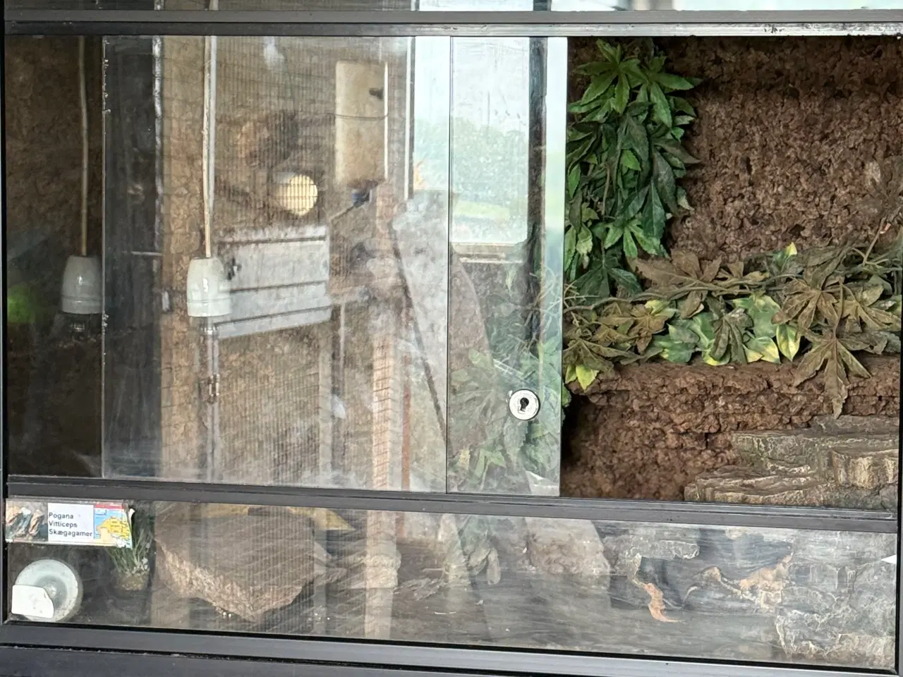 Billede 9 - Stor terrarie-reol med 7 terrarier og masser af ud