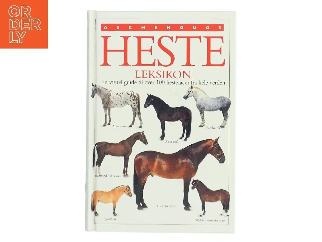 Billede 1 - hesteleksikon af <Bogforfattere er ikke angivet< (Bog)