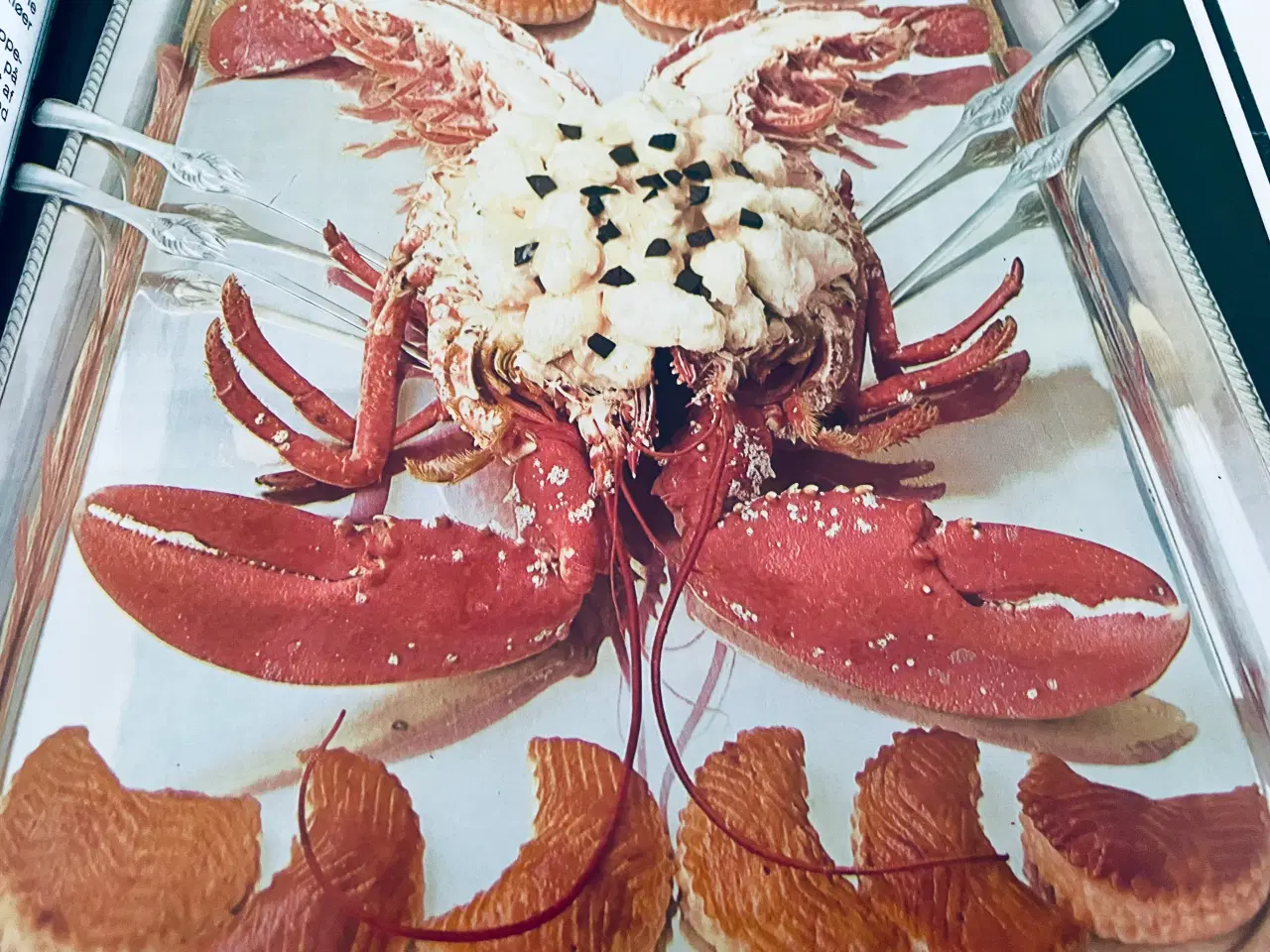 Billede 8 - Menu internationalt madleksikon - fisk og skaldyr 