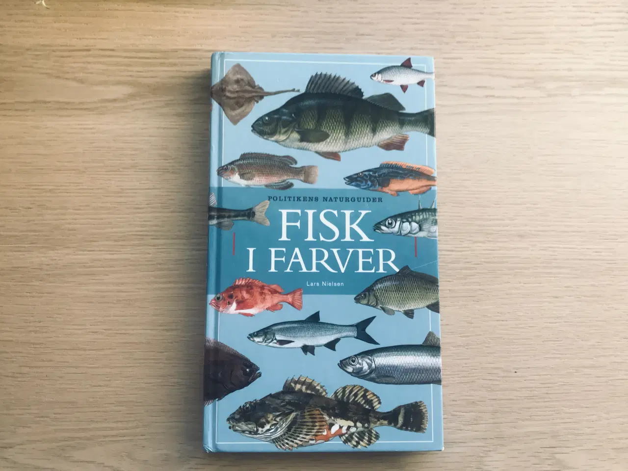 Billede 1 - Fisk i farver  -  Lars Nielsen