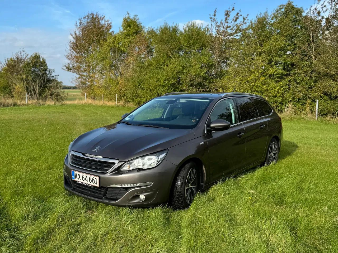 Billede 1 - Peugeot 308 1.6 BLUEHDI 120 HK SW