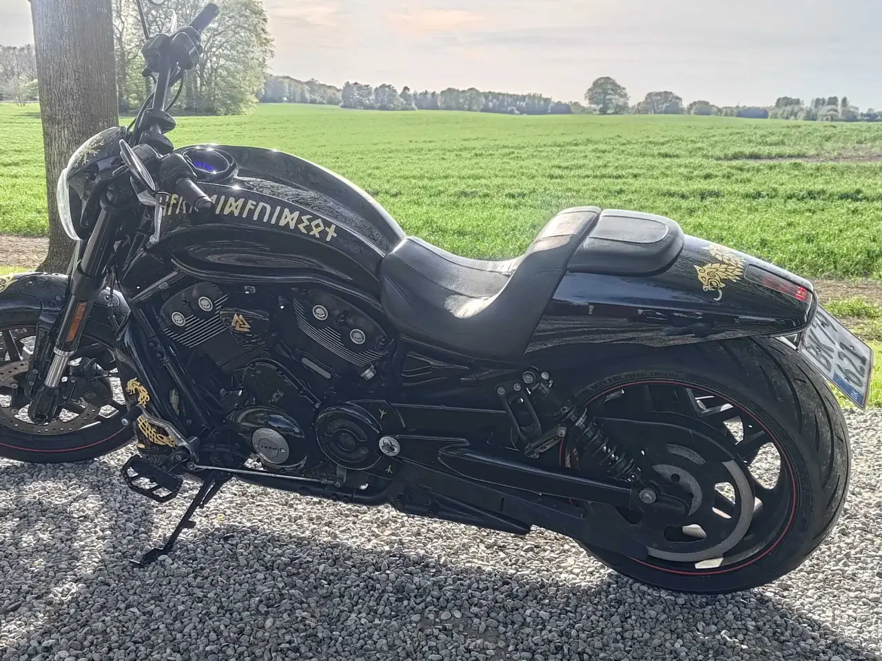 Billede 6 - Vrscdx Night Rod Special 2017 