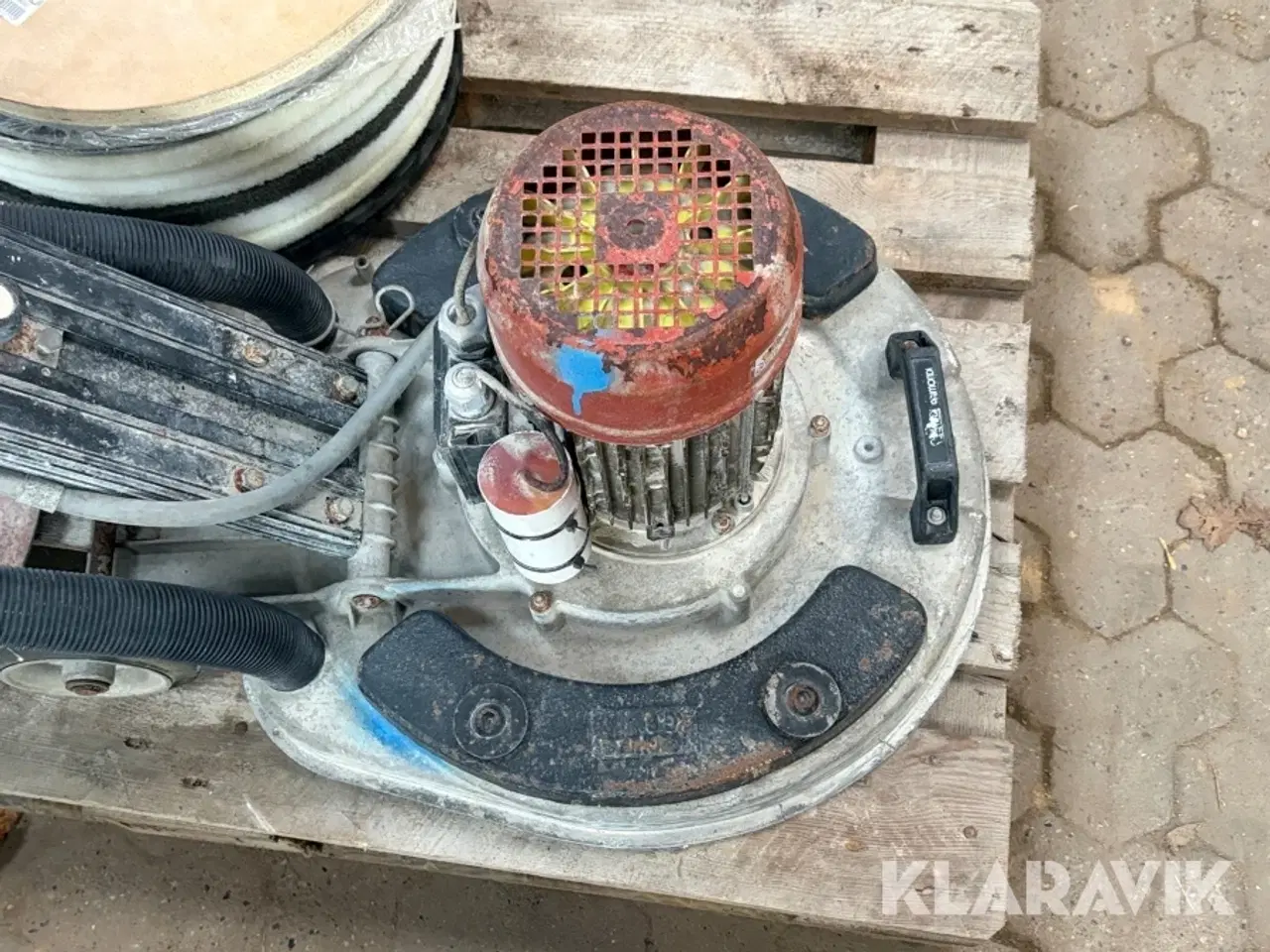 Billede 6 - Raimondi