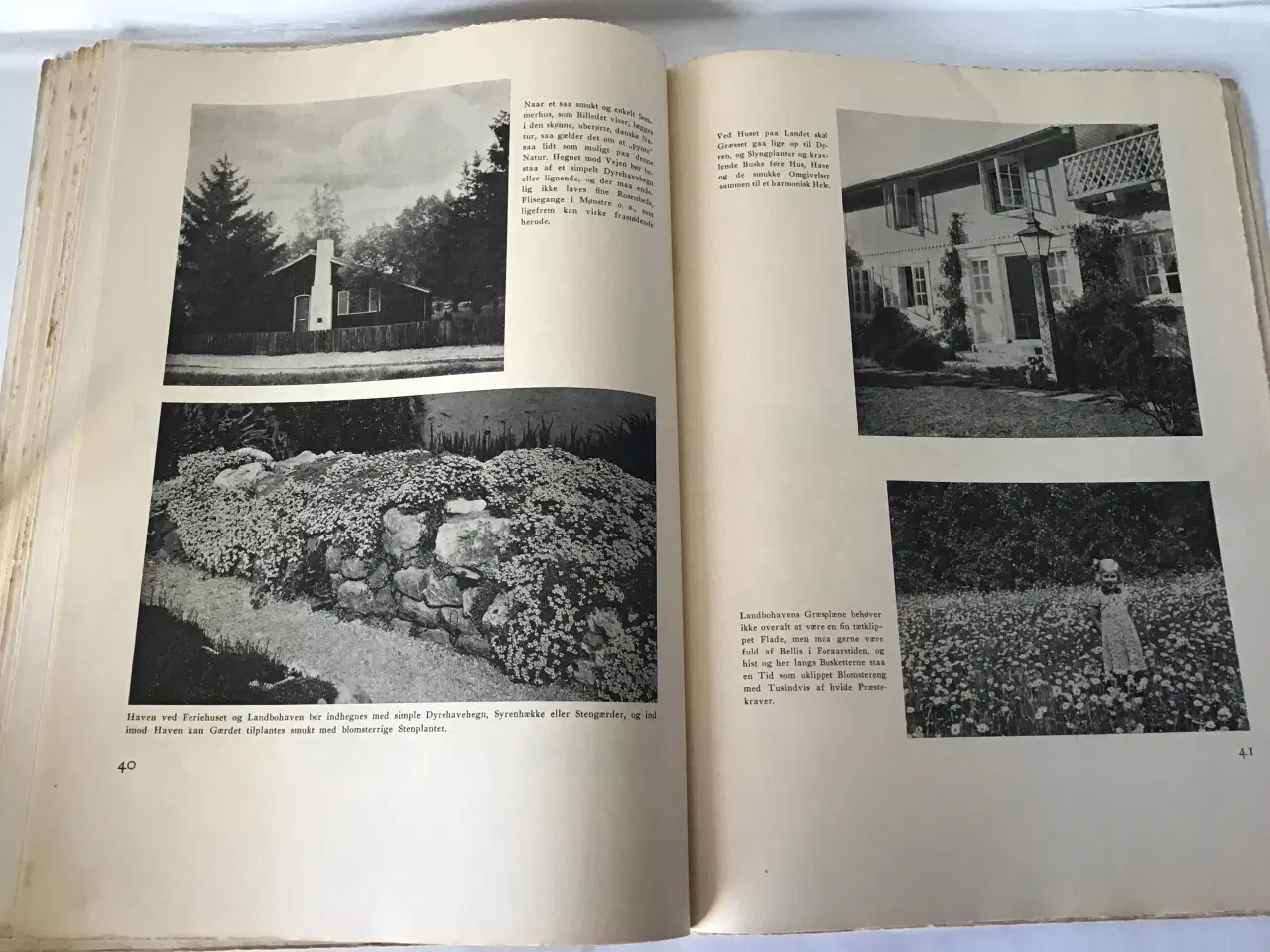Billede 3 - Fra urtegaard og blomsterhave