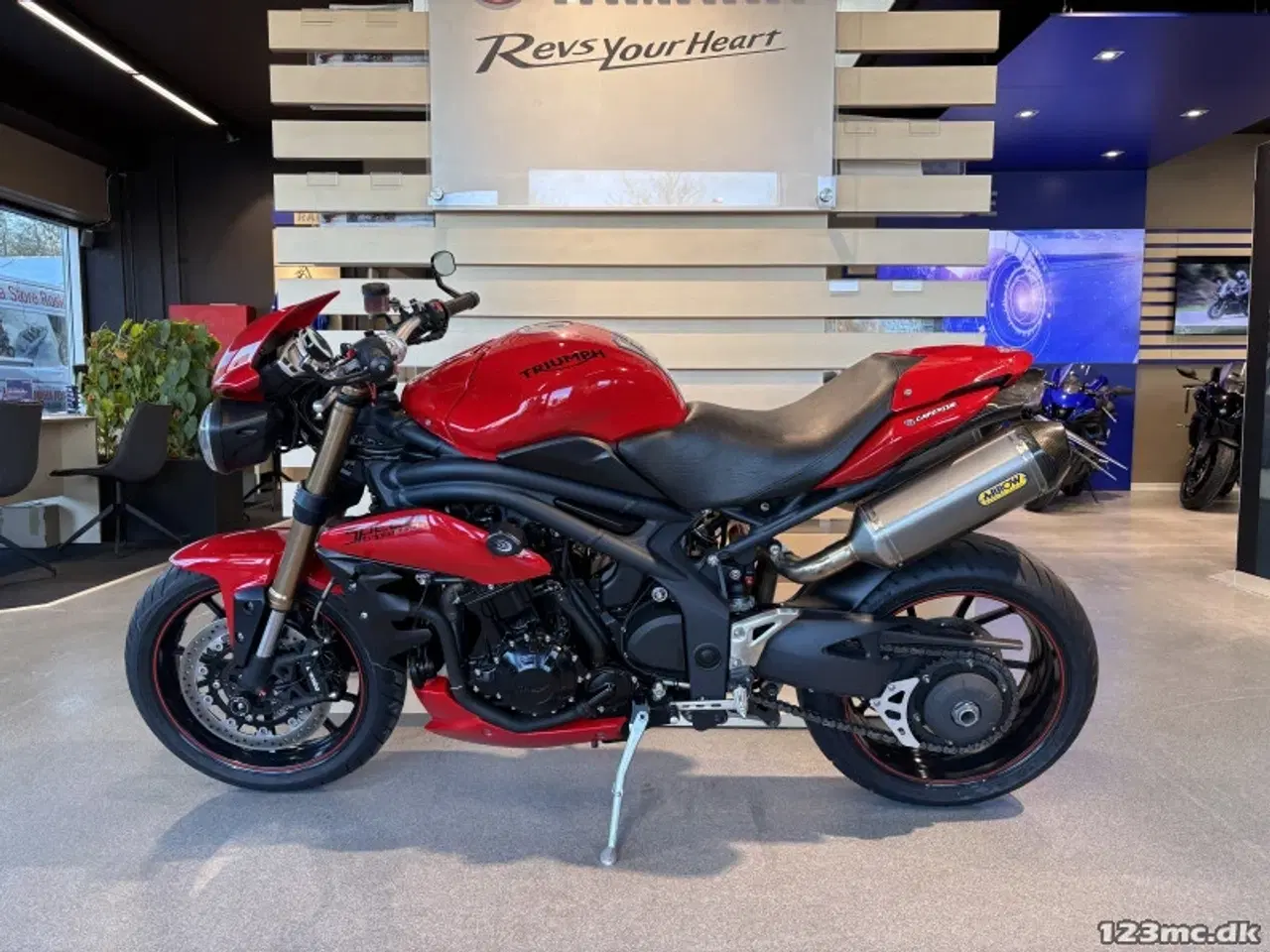 Billede 10 - Triumph Speed Triple