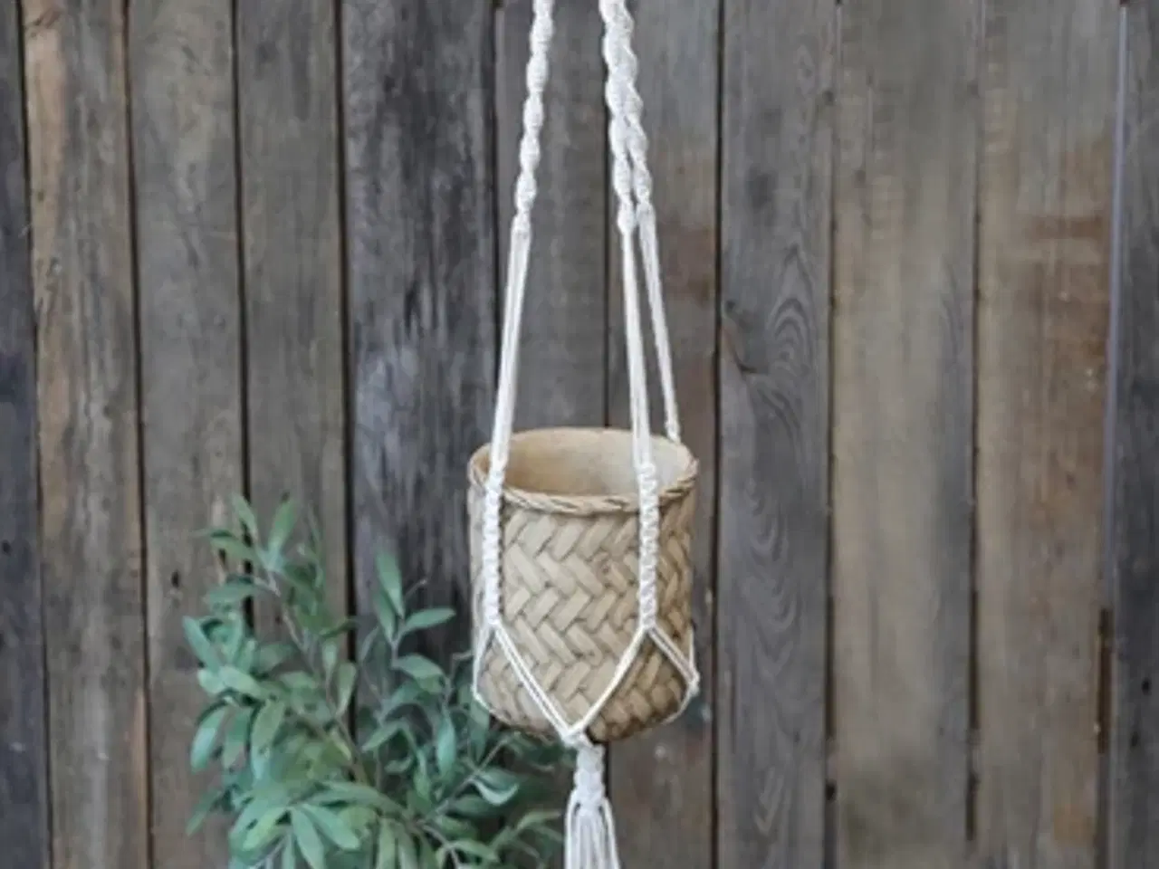 Billede 1 - Romantisk holde til skjuler