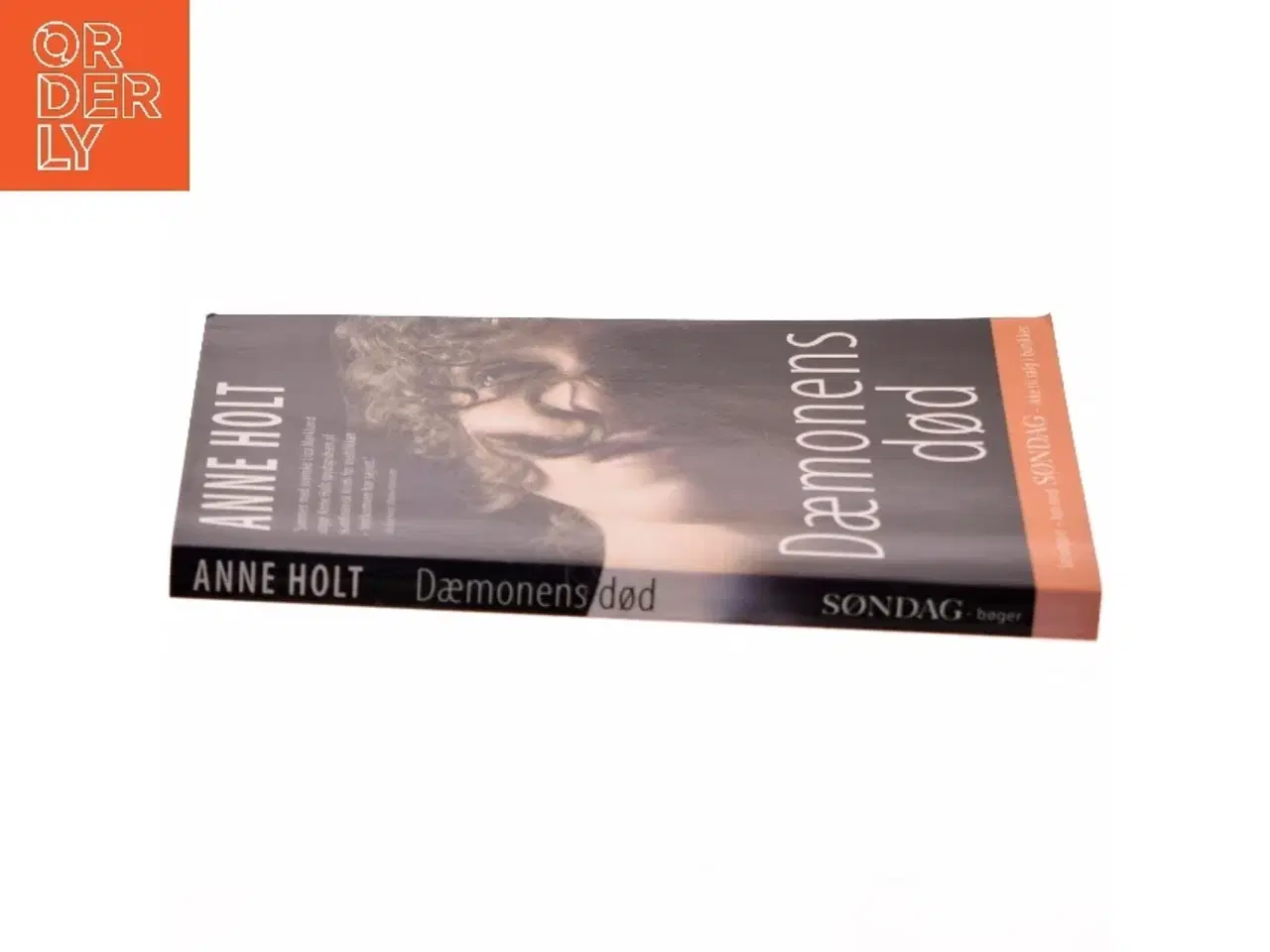 Billede 2 - Dæmonens død af Anne Holt fra Gyldendal