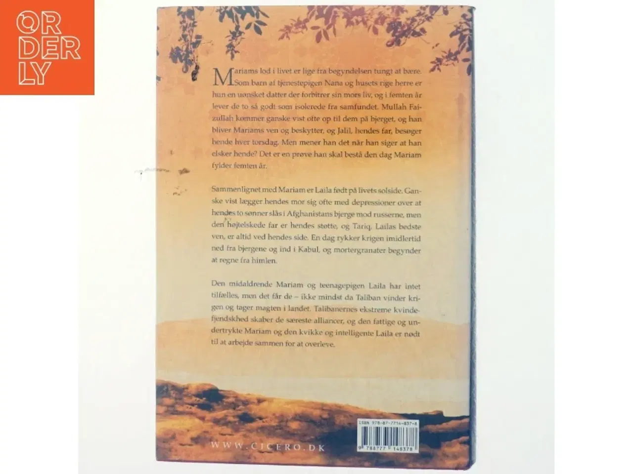 Billede 3 - Under en strålende sol af Khaled Hosseini (Bog)