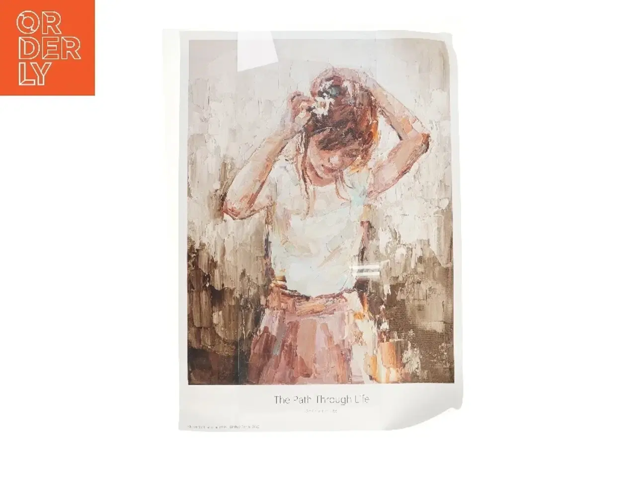 Billede 1 - Kunstplakat: The Path Through Life (str. 70x100 cm)