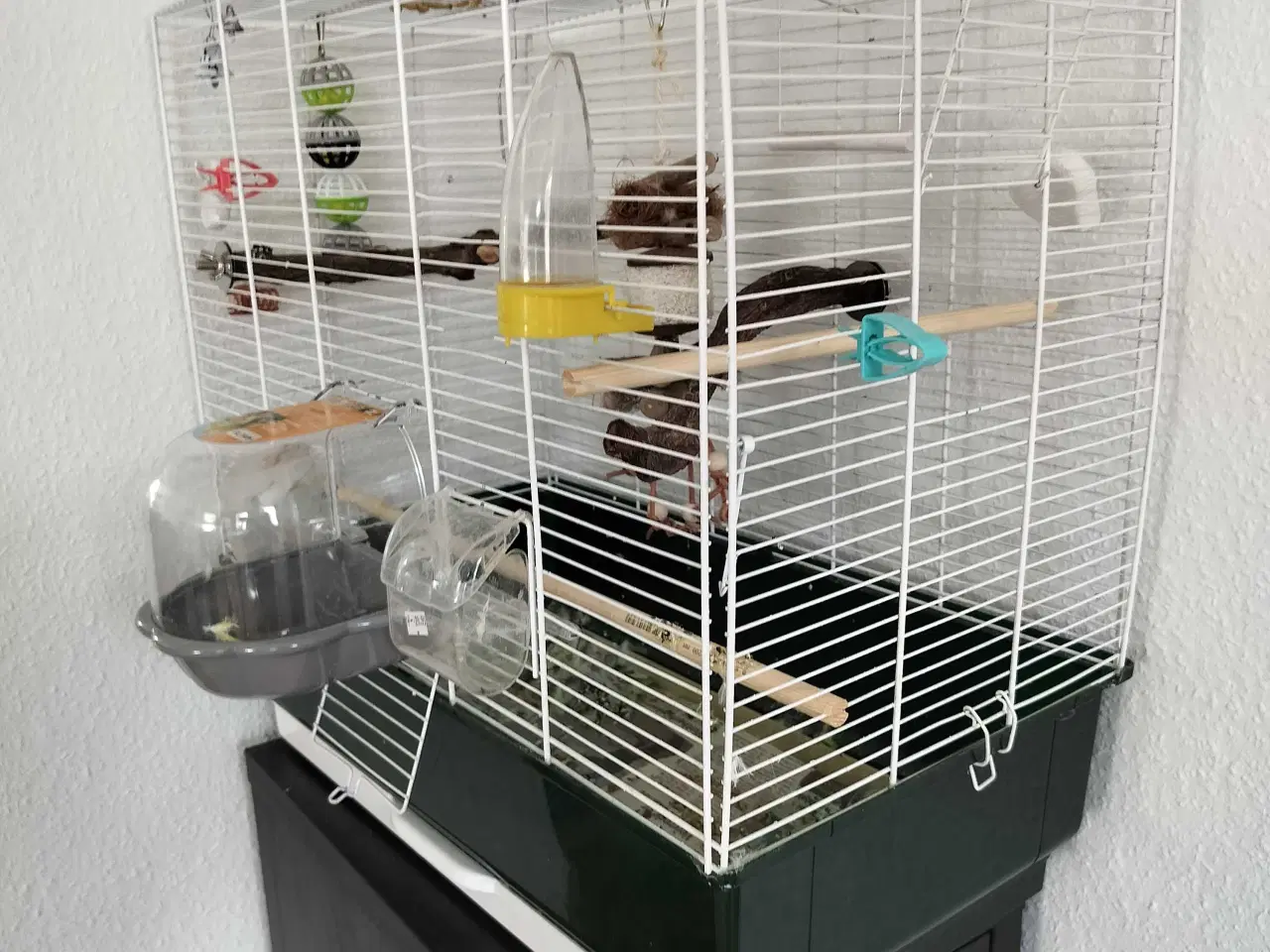 Billede 2 - Fuglebur 