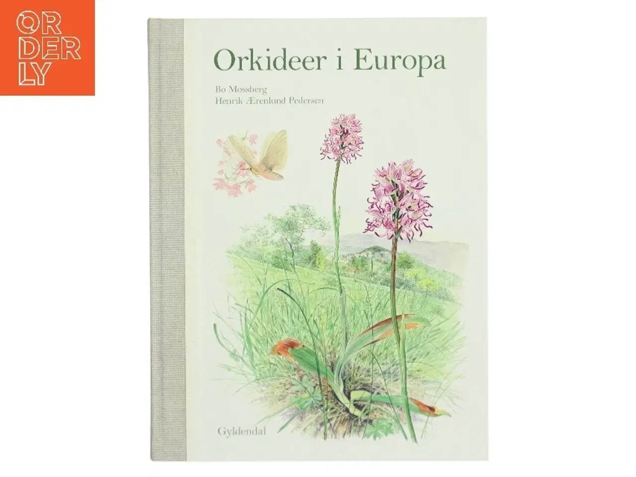 Billede 1 - Orkidéer i Europa : smukke, specielle og sårbare af Henrik Ærenlund Pedersen (Bog)