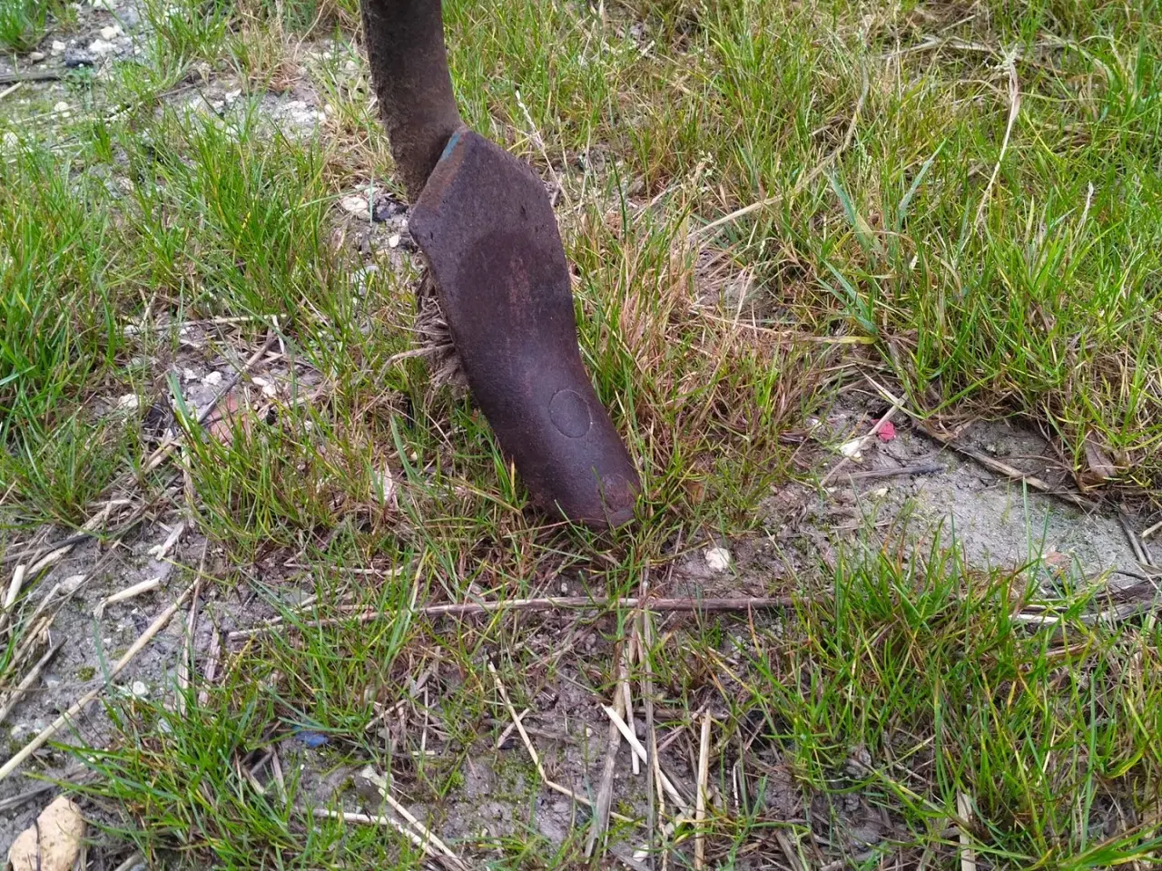 Billede 8 - Befa 15 tands Stubharve - mangler 1 tand