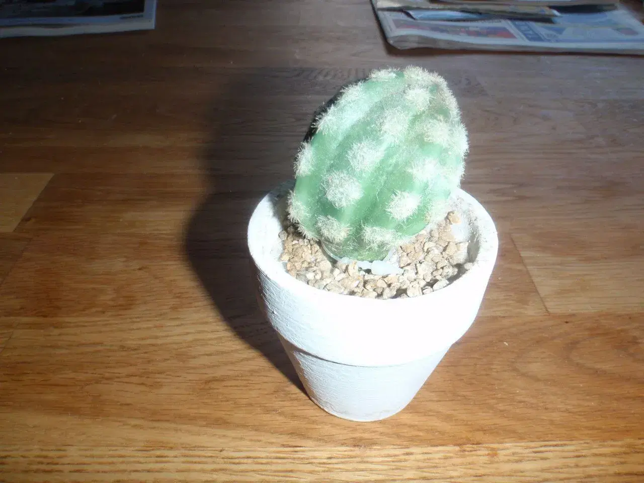Billede 3 - Kunstige kaktusser