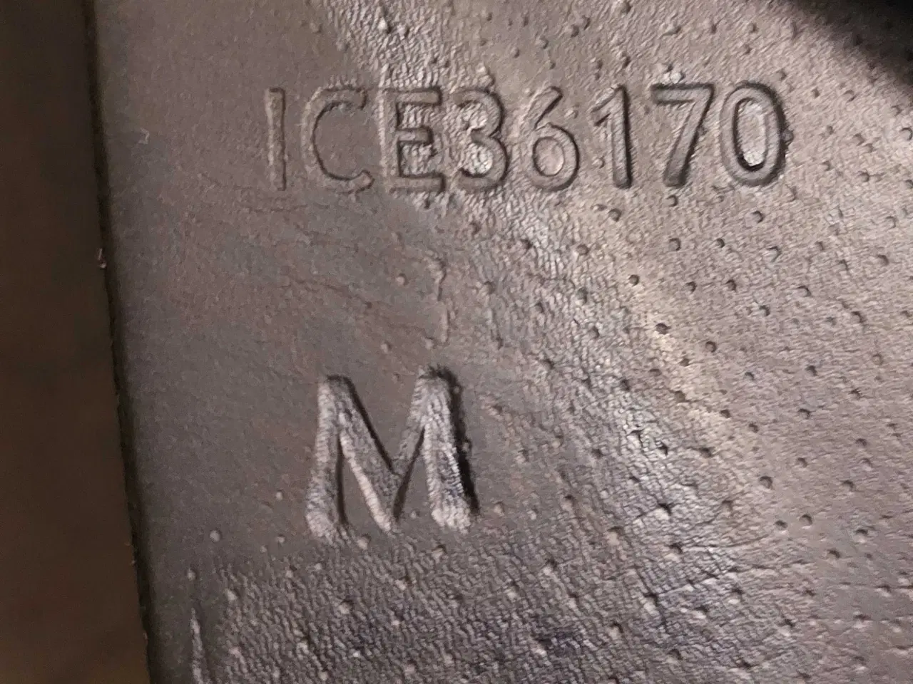 Billede 3 - Hrimnir champion 