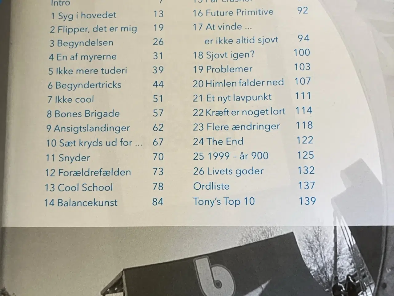 Billede 3 - Professionel Skateboarder. Af Sean Mortimer, Tony 