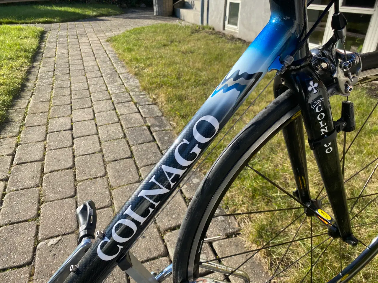 Billede 2 - Colnago active 