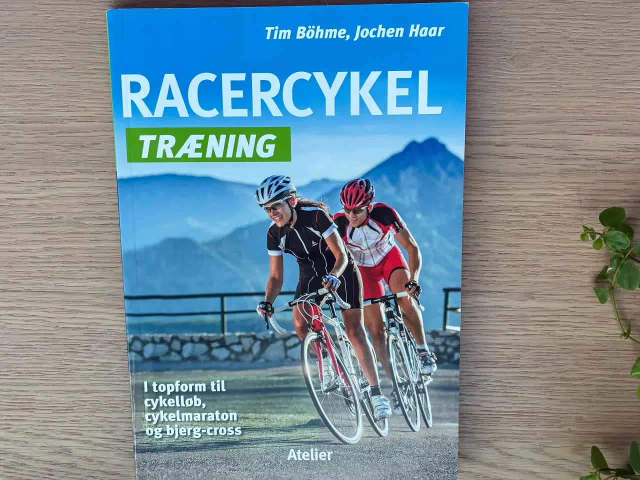 Billede 1 - RACERCYKEL TRÆNING  af Tim Böhme, Jochen Haar