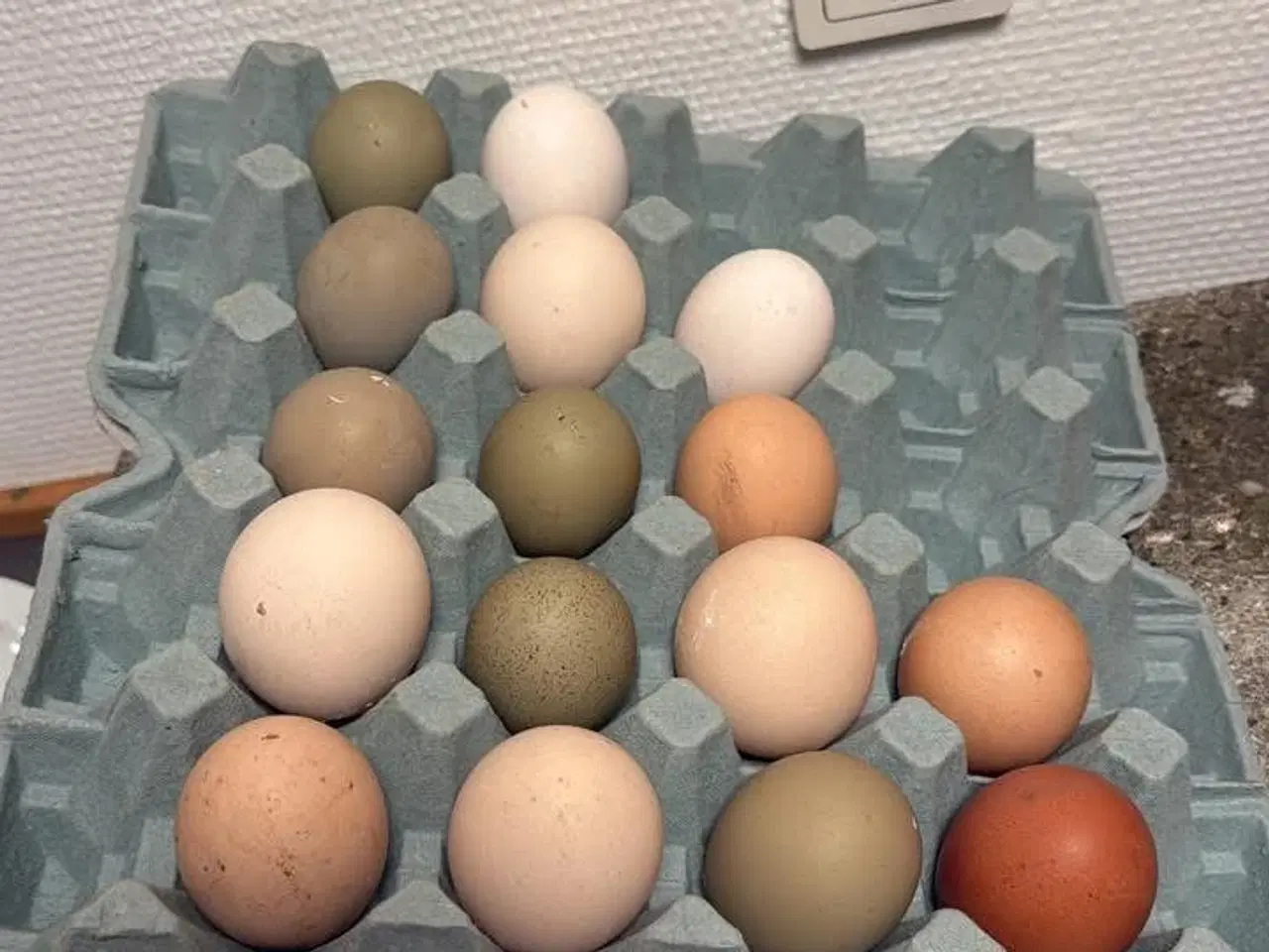 Billede 3 - Kyllinger 