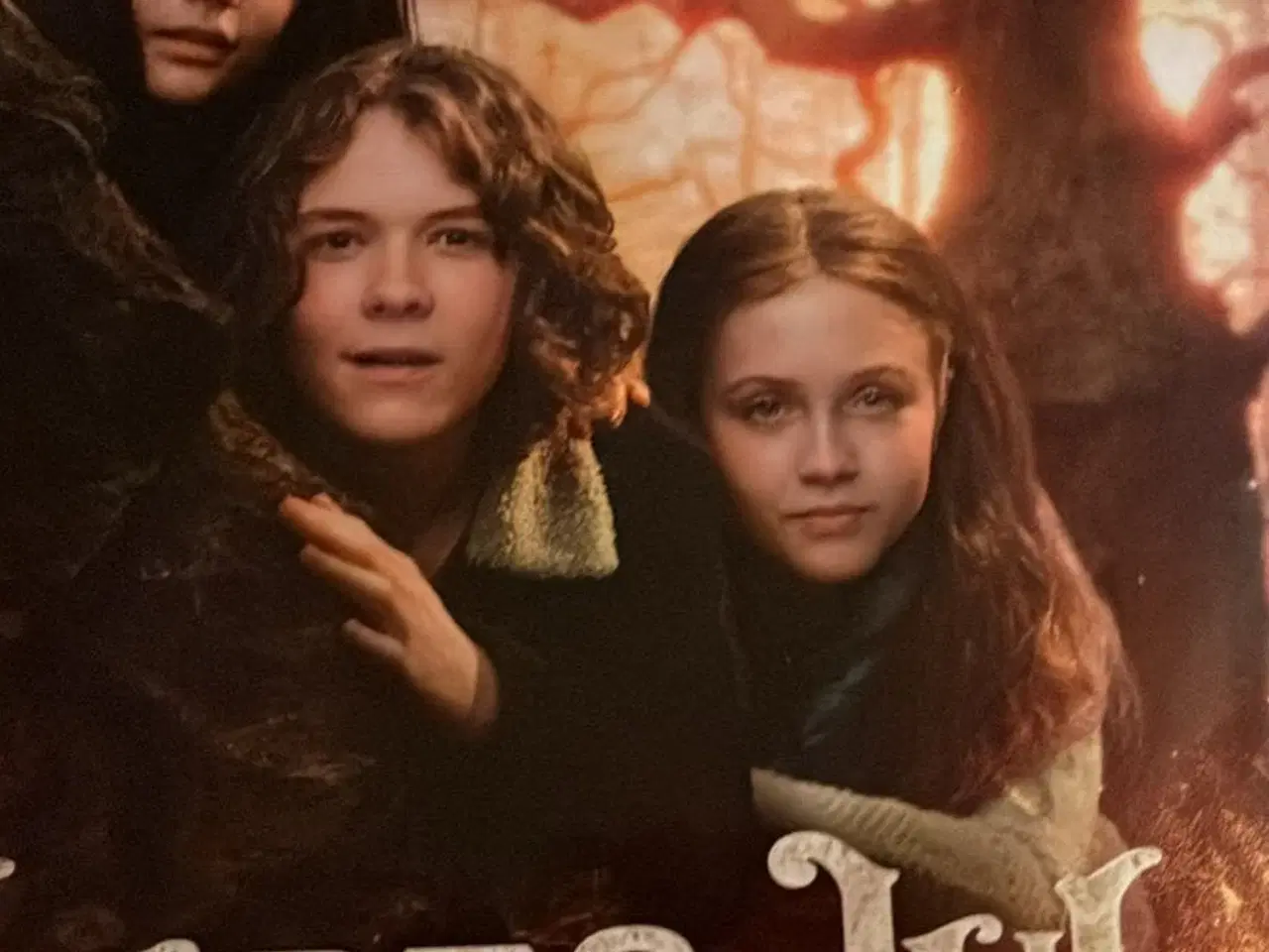 Billede 1 - Valdebog med kort