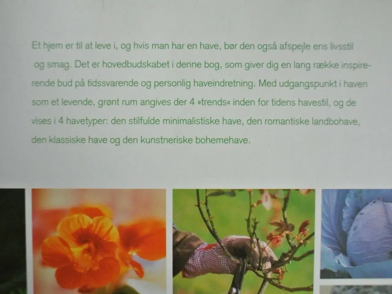 Billede 3 - haveliv. find stilen til din have., Af buiten leve