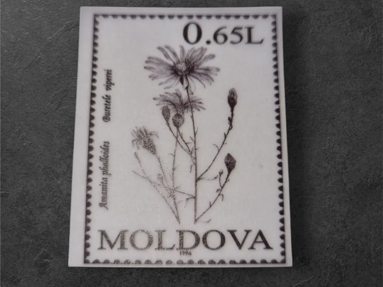 Billede 1 - Naturinspireret papir til kreative projekter