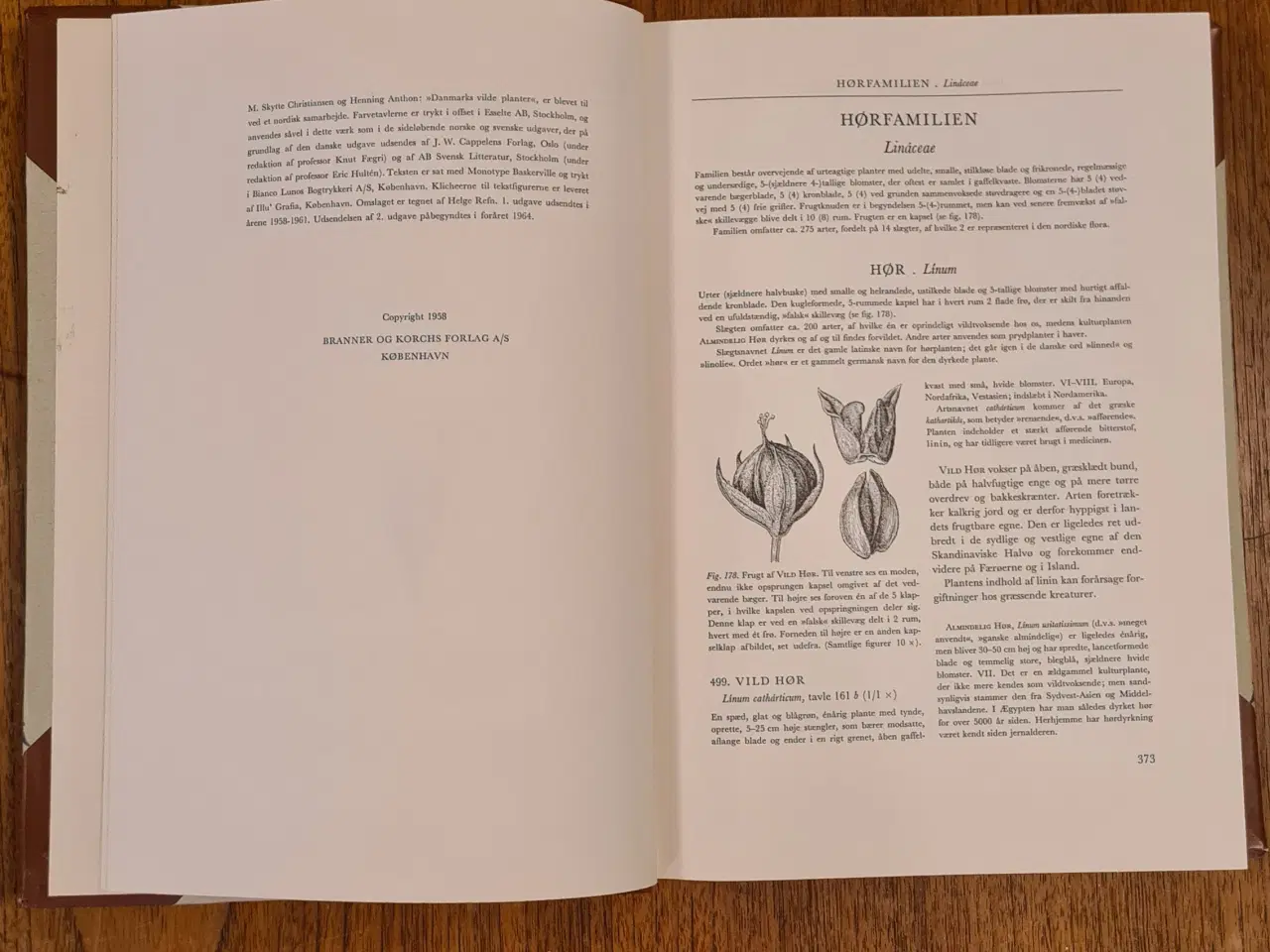 Billede 7 - Danmarks Vilde Planter