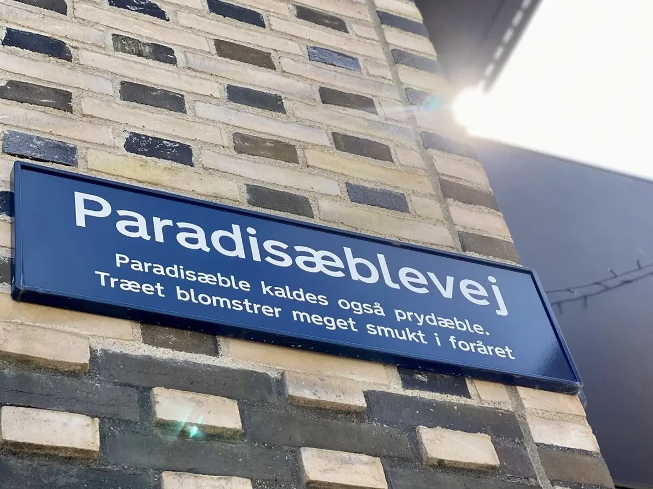 Billede 6 - Privat kontorsuite til 2 personer