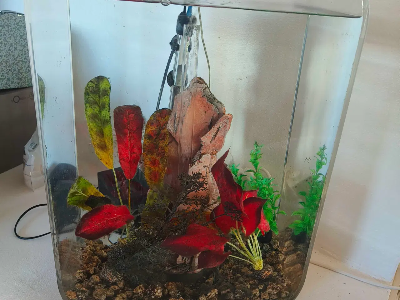 Billede 1 - Biorb akvarium 60 L. Gennemsigt